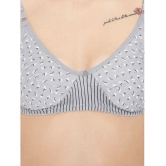 ILRASO - Light Grey Cotton Non Padded Women's T-Shirt Bra ( Pack of 1 ) - None