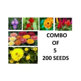 COMBO OF 5 MIX FLOWER SEEDS ASTER BLASAM CLENDULA GULDAWADI AND 2 MOREE