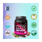 Nutriley Amino mass Whey Protein ( 500 gm , Vanilla - Flavour )