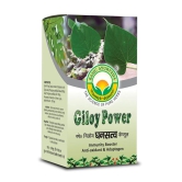 Basic Ayurveda Giloy Power 40 Capsules