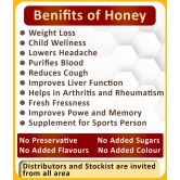 Natural Honey - Giloy (Pack of 3)