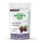 Natures Gift Mulberry Powder Smoothie 100 g