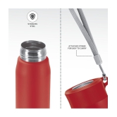 Milton Handy 650 Stainless Steel Water Bottle (690 ml) Red - Red