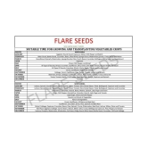 FLARE SEEDS Spinach Green Seeds - 50 Seeds Pack