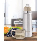 Milton Glassy 350 Thermosteel 24 Hours Hot and Cold Water Bottle with Drinking Cup Lid, 350 ml, Grey - Grey