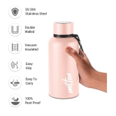 Milton Aura 500 Thermosteel Bottle, 520 ml, Beige | 24 Hours Hot and Cold | Easy to Carry | Rust Proof | Leak Proof | Tea | Coffee | Office| Gym | Home | Kitchen | Hiking | Trekking | Travel