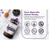 Farm Naturelle Jamun Flower Wild Forest Honey 400g Extra |100% Pure Honey| Raw & Unfiltered|Unprocessed|Lab Tested Honey In Glass Jar with Extra Spoon