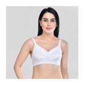 Desiprime - White Cotton Solid Womens Maternity Bra ( Pack of 1 ) - 36B