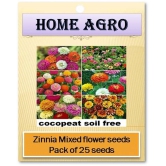 HN organic seed - Flower Seeds ( 25 )