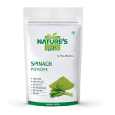 Nature''s Gift SPINACH Powder 100 gm