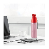 Milton Kool Convex 1100 Insulated Inner Pet Water Bottle, 900 ml, Light Red | Easy To Carry | Leak Proof | School | Office | Gym | Hiking | Treking | Travel Bottle - Red