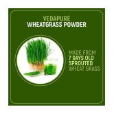 VEDAPURE 100% Natural & Organic Wheatgrass Powder Helps in Immunity & Energy - 100gm (Pack of 1)