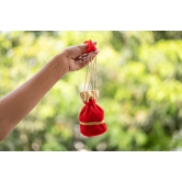 Ornament Bags (Pack of 50)