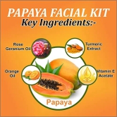 Soundarya Herbs Papaya Prevent Pigmentation & Blemished Skin Facial Kit-140g