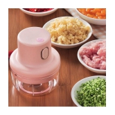 ASIAN - Chopper Multicolour Acrylic Electric Chopper 300 ml ( Pack of 1 ) - Multicolour