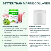 OZiva Collagen Builder for Anti-Ageing  Skin Radiance with Vitamin C Watermelon 200 g-OZiva Collagen Builder for Anti-Ageing & Skin Radiance with Vitamin C, Watermelon (200 g)