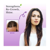 Phillauri Anti Hair Fall Rosemary Oil 100 ml ( Pack of 1 )