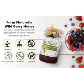 Farm Naturelle-Wild Berry (sidr) Flora Honey |850gm+150gm Extra and a Wooden Spoon|100% Pure, Raw Natural Un-Processed - Un-Heated Honey | Lab Tested Honey in Glass Bottle.