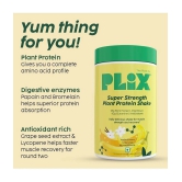 Plix - Strength Vegan Plant Protein Powder Plant Protein Powder ( 500 gm Vanilla )