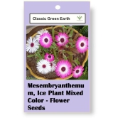 CLASSIC GREEN EARTH - Flower Seeds ( Ice Plant Mixed Color Flower 50 Seeds )