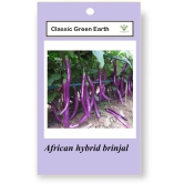 CLASSIC GREEN EARTH - Brinjal Vegetable ( 100 Seeds )