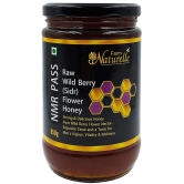 Farm Naturelle -Wild Berry Honey (Sidr Honey)-Unique Honey from Flowers of Wild Berries-Exquisite Taste & Tonic for Mens Vigour, Vitality &-850gm