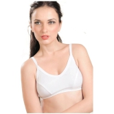 Madam Cotton Everyday Bra - White Single - 32B