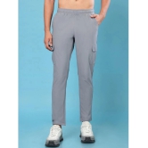 PPTHEFASHIONHUB Grey Lycra Mens Trackpants ( Pack of 1 ) - None