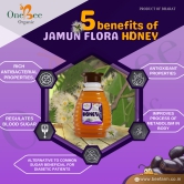 ONE BEE ORGANIC Honey | Jamun Honey/Blackberry Flora Honey | Natural Flora Honey - 280 GM.