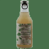 Auora Kombucha White Elefan White Elefan Kombucha Ginger Mint, 200 Ml