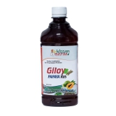 Giloy Papaya Ras 500ml.