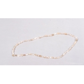  Cowrie Shell Necklace