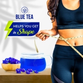 Butterfly Pea Flower Herbal Infusion - 100 Teabags-200 PTB / Flower Herbal Infusion