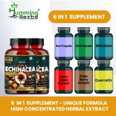 Humming Herbs Echinacea 1200mg with Elderberry, Bee Propolis & Selenium - Immune Support Complex for Cold Prevention & Healing - Antioxidant, Immunity Boosting & Defense From Infection - Pack of 2