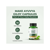 Ayuvya Giloy Capsules || 500mg Pure Guduchi Powder & Extract - Immunity Booster & Liver Support Supplement, 60 Capsules