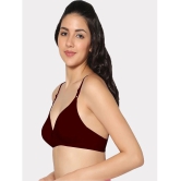 IN CARE LINGERIE - Multicolor Cotton Non Padded Womens T-Shirt Bra ( Pack of 2 ) - None