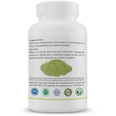 GOLDENACACIA HERRBALS Noni fruit 50 Powder 1 no.s