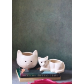 Cat & Kitty Planter