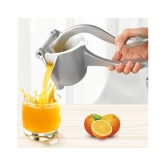 VALLEY GREEN Fruit Hand Juicer Silver Manual Juicer - Silver