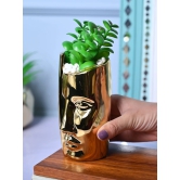 Golden Serenity - Face Design Artificial Plant with Pot