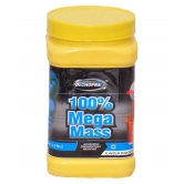 Rikhi 100% Mega Mass (Chocolate Flavor) Powder 500 gm