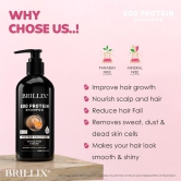 BRILLIX EGG PROTEIN SHAMPOO - For Long, Strong, Moisturizing & Shiny Hair, 300 ml