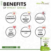 Attar Ayurveda Wheat Grass Powder (100 Gram)