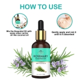 Intimify Rosemary Essential Oil, Face Oil, Anti-Acne & Oil Control Face Oil 30 mL