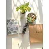 Sustainable Productivity Gift hamper by Ekatra - Blue Lotus