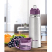 Milton Glassy 350 Thermosteel 24 Hours Hot and Cold Water Bottle with Drinking Cup Lid, 350 ml, Purple - Purple