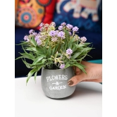 Lavender & Green Artificial Flower with Pot - Cylindrical Shape with Flowers & Garden Print