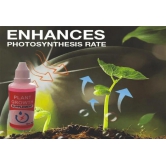 Plant Growth Enhancer Supplement-Pack Of 1