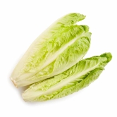 Salad Veggies Lettuce Romain, 1 Kg