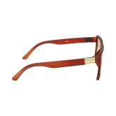 Creature - Brown Square Sunglasses ( Pack of 1 ) - Medium